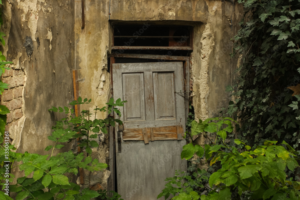 old abandoned door with destroyed walls and young trees around old abandoned door with destroyed walls and young trees around