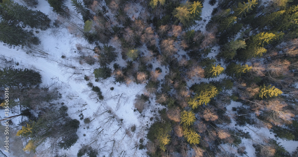 camera looking straight down over winter fir forest in sunset, 4k drone photo camera looking straight down over winter fir forest in sunset, 4k drone photo