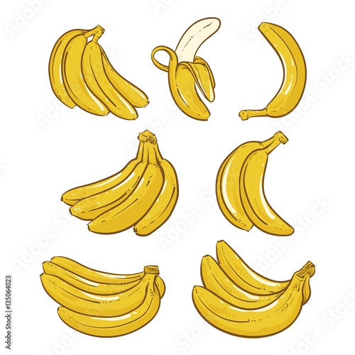 Yellow Bananas vector illustration on white background. Overripe