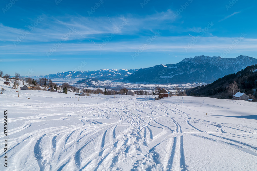 Swiss Winter - Tracks in snow