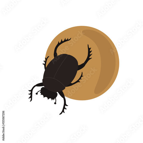 Scarab on a ball