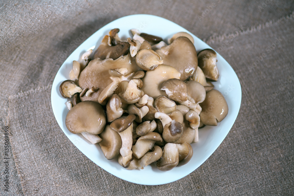 mushrooms of a veshanka and champignons in sauce in a white plate on a table mushrooms of a veshanka and champignons in sauce in a white plate on a table