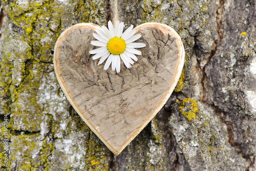 Herz aus Holz geschnitzt am Baumstamm photo