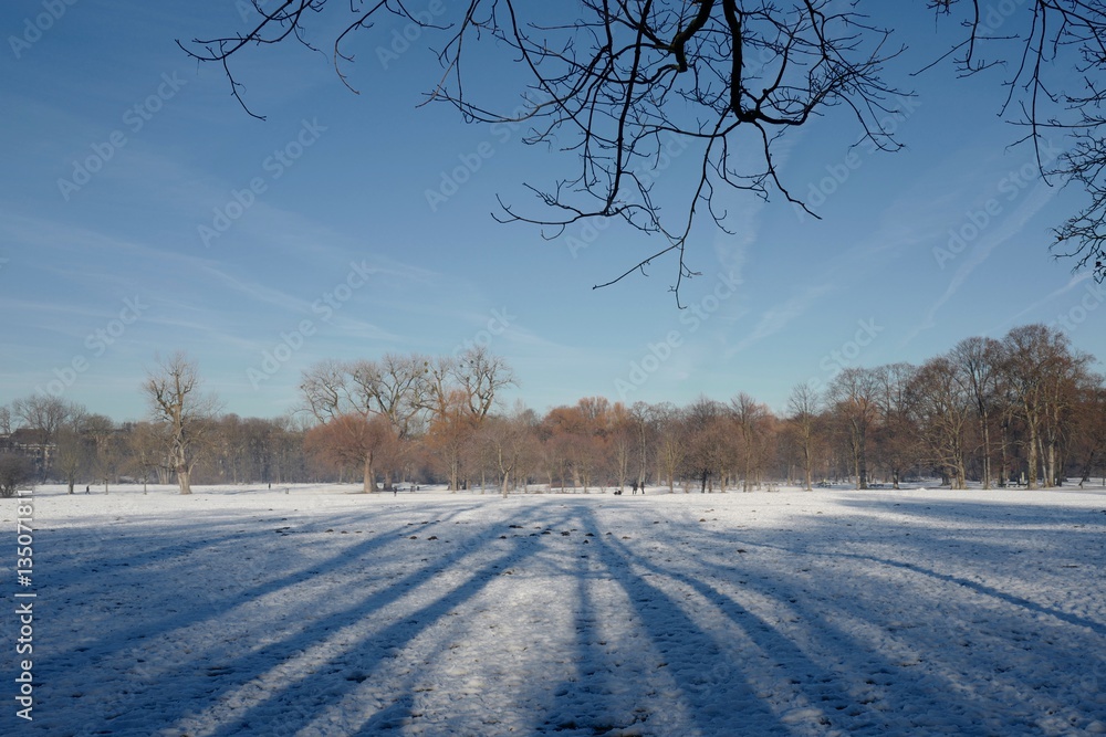 Englischer Garten in München im Winter StockFoto Adobe Stock