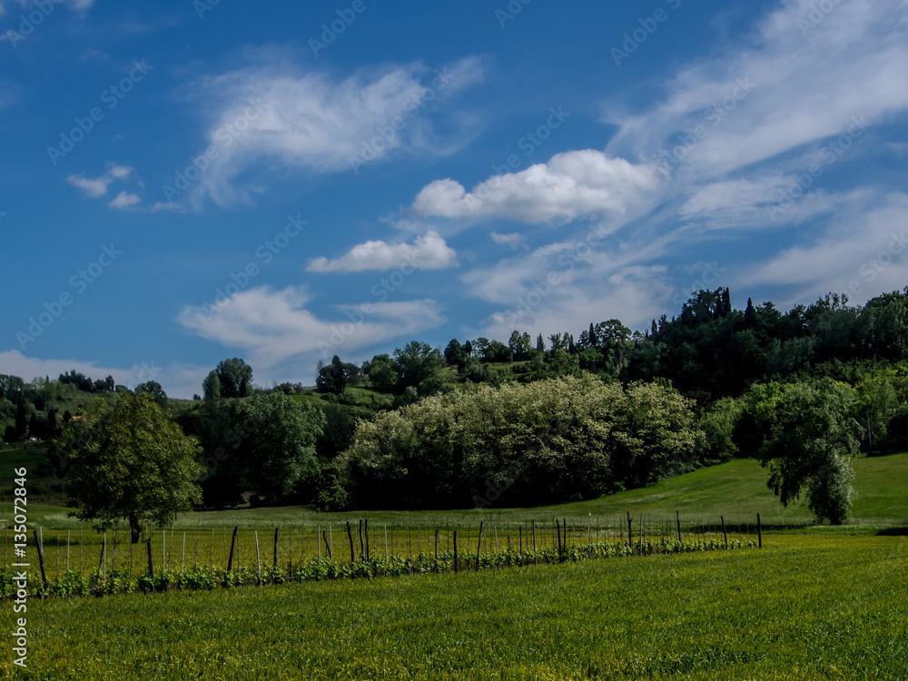 Obraz premium Toscana