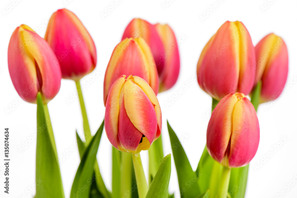 Blumenstrauß mit frischen Tulpen Blumenstrauß mit frischen Tulpen