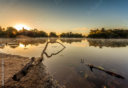 Forest Pond Sunrise
