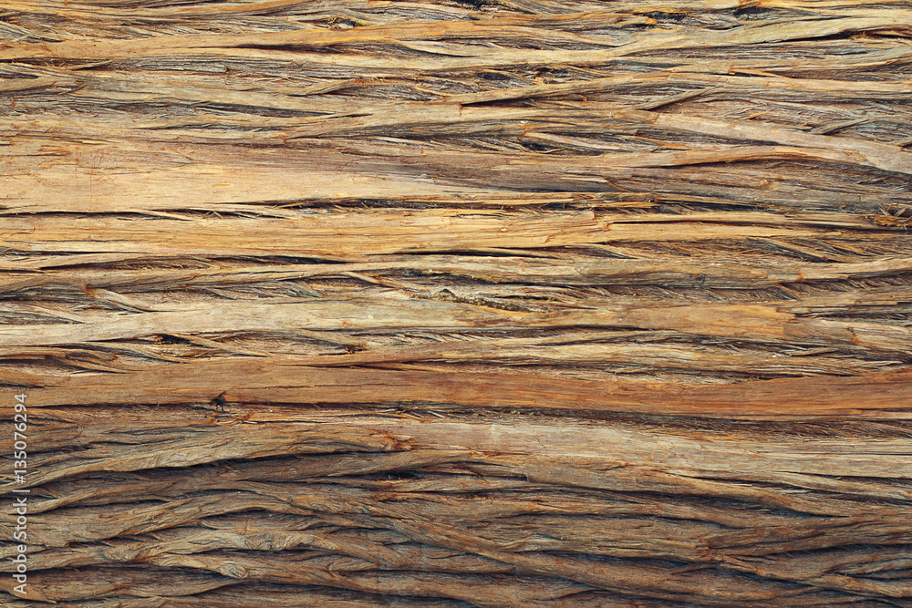 Wooden texture. Bark of Elm. Seamless Tileable Texture.