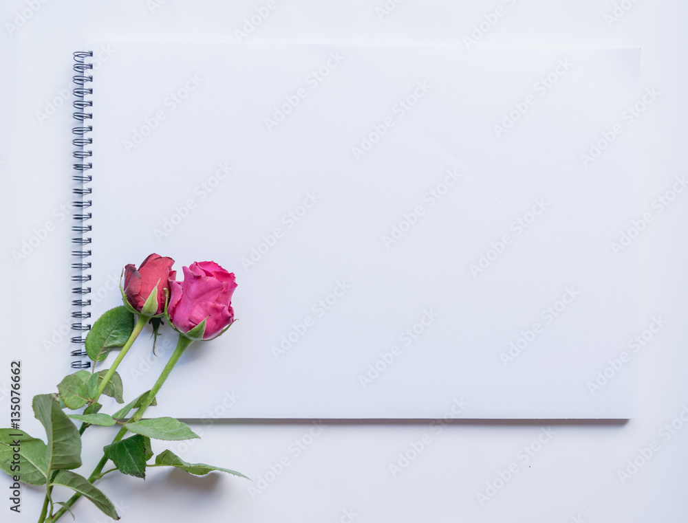 Obraz Together rose on blank notebook on white background. Valentine Concept.