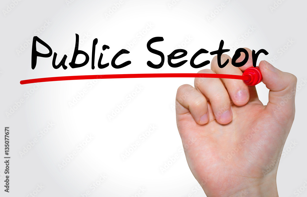 Fototapeta premium Hand writing inscription Public Sector with marker, concept