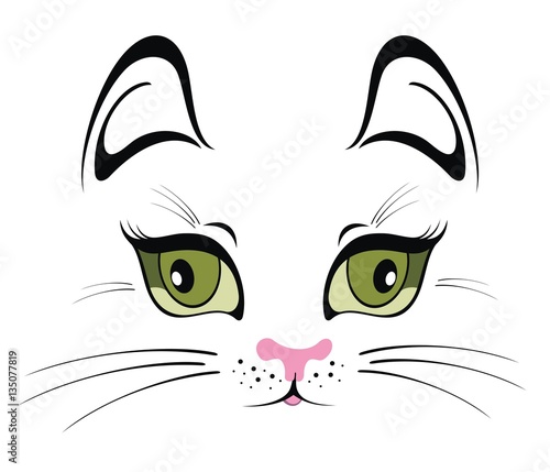 Funny cat