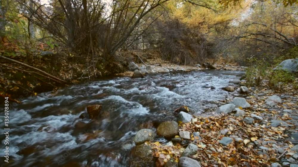 Fast stream in the forest in autumn Fast stream in the forest in autumn