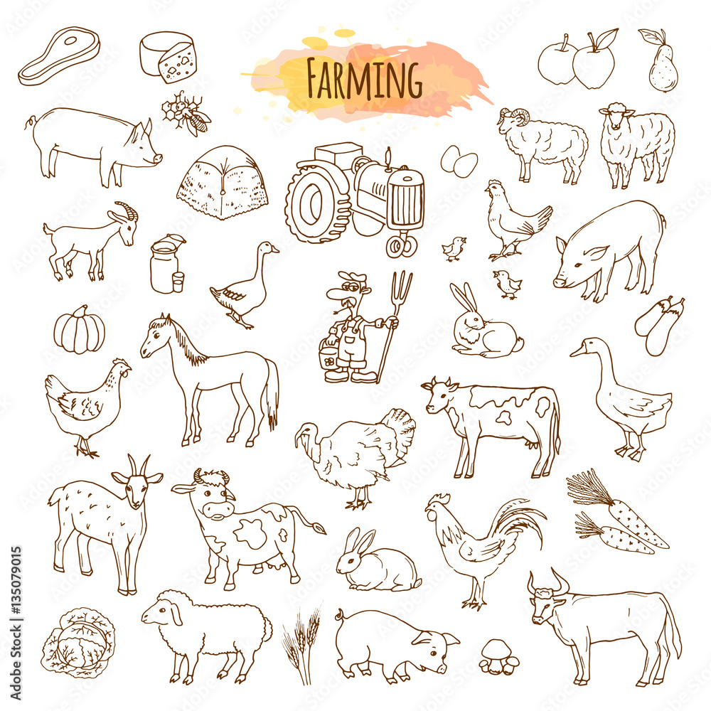 Hand drawn farm elements. Farming tools and animals.
