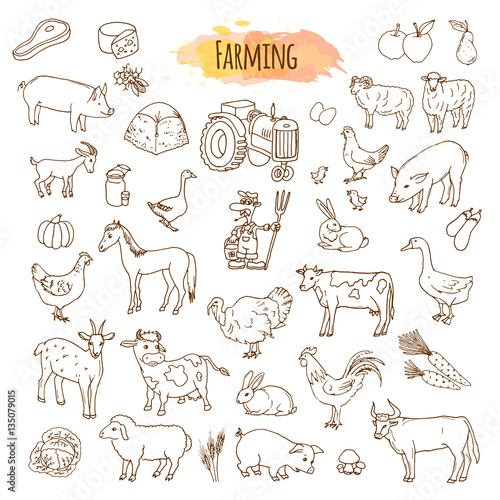 Hand drawn farm elements. Farming tools and animals.