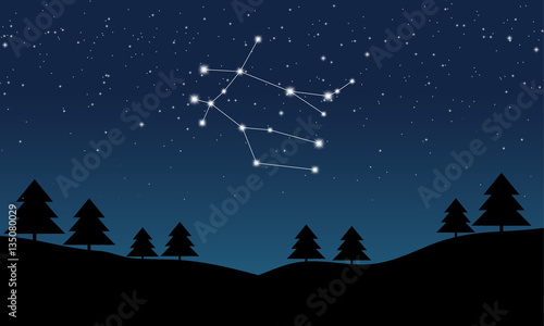 Vector illustration of Gemini constellation on the background of starry sky and night landscape