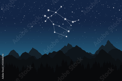 Vector illustration of Gemini constellation on the background of starry sky and night mountain