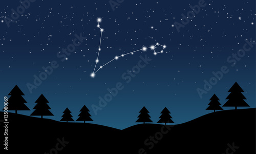 Vector illustration of Pisces constellation on the background of starry sky and night landscape