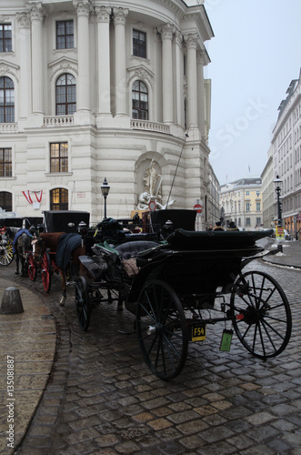 Viennese carriages