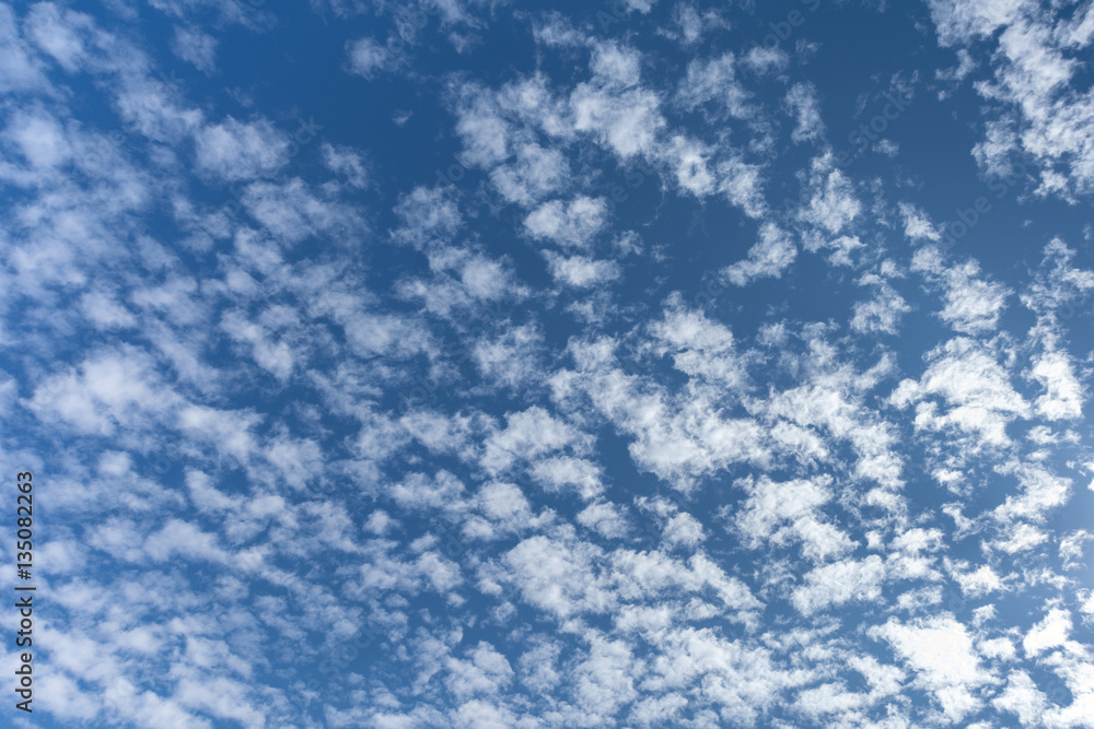 Altocumulus cloudscape on blue blue sky, Beautiful Cirrocumulus background Altocumulus cloudscape on blue blue sky, Beautiful Cirrocumulus background