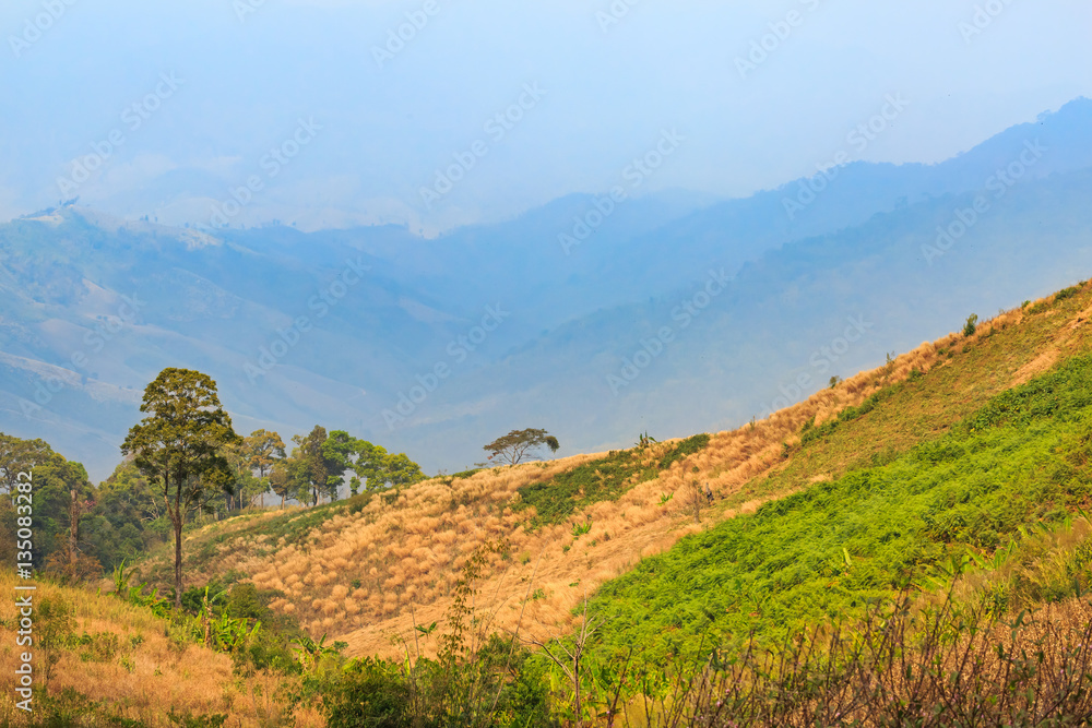 Terrain of highland and mountain in the north of Thailand, some are decimated deforestation mountain