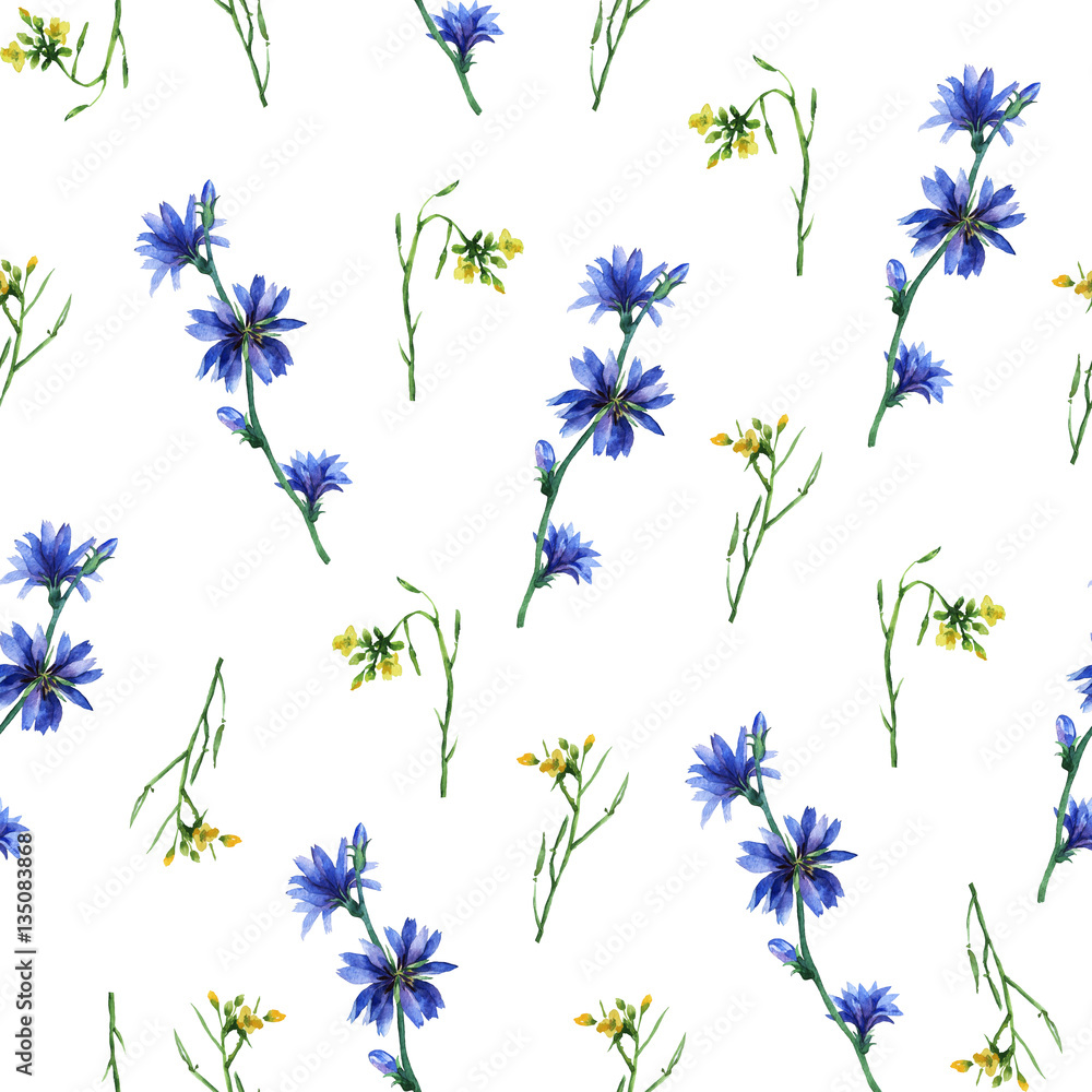 Seamless pattern with yellow rocket and blue chicory flowers. Hand drawn watercolor painting on white background. Seamless pattern with yellow rocket and blue chicory flowers. Hand drawn watercolor painting on white background.