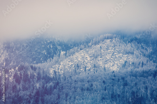 Wallpaper Mural View on winter mountains Tatry, Poland Torontodigital.ca