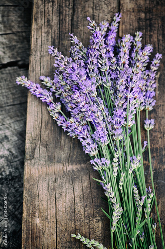 Fototapeta Naklejka Na Ścianę i Meble -  Fresh lavender