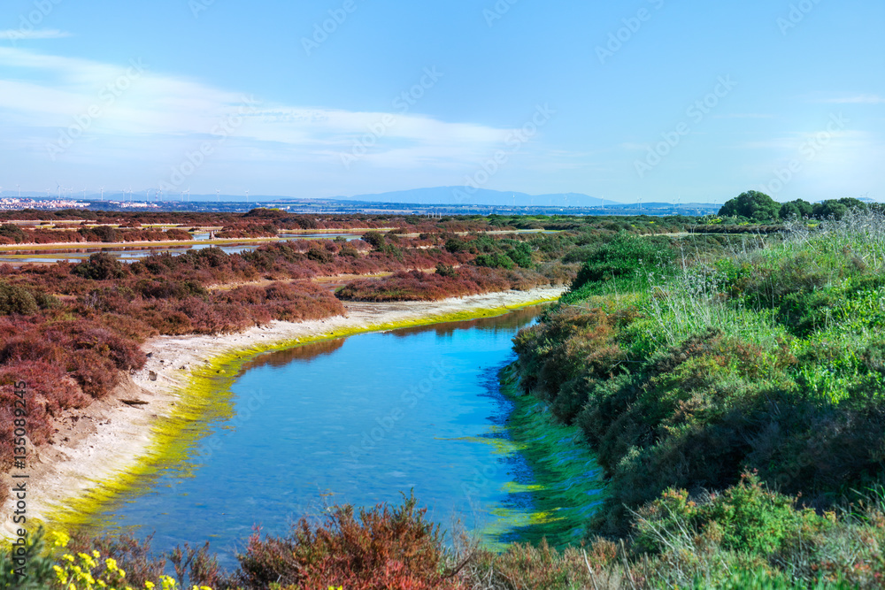Espacio Natural Protegido. Marismas del Parque Natural de la Bahía de Cadiz, Andalucia, España
