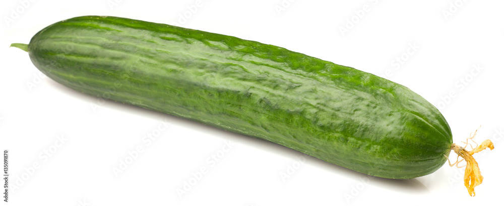 Fresh juicy cucumber on a white background, isolated Fresh juicy cucumber on a white background, isolated