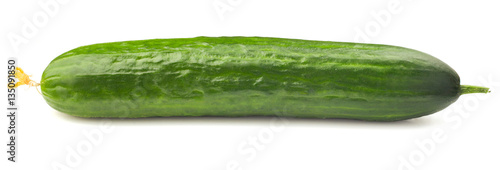 Fresh juicy cucumber on a white background, isolated
