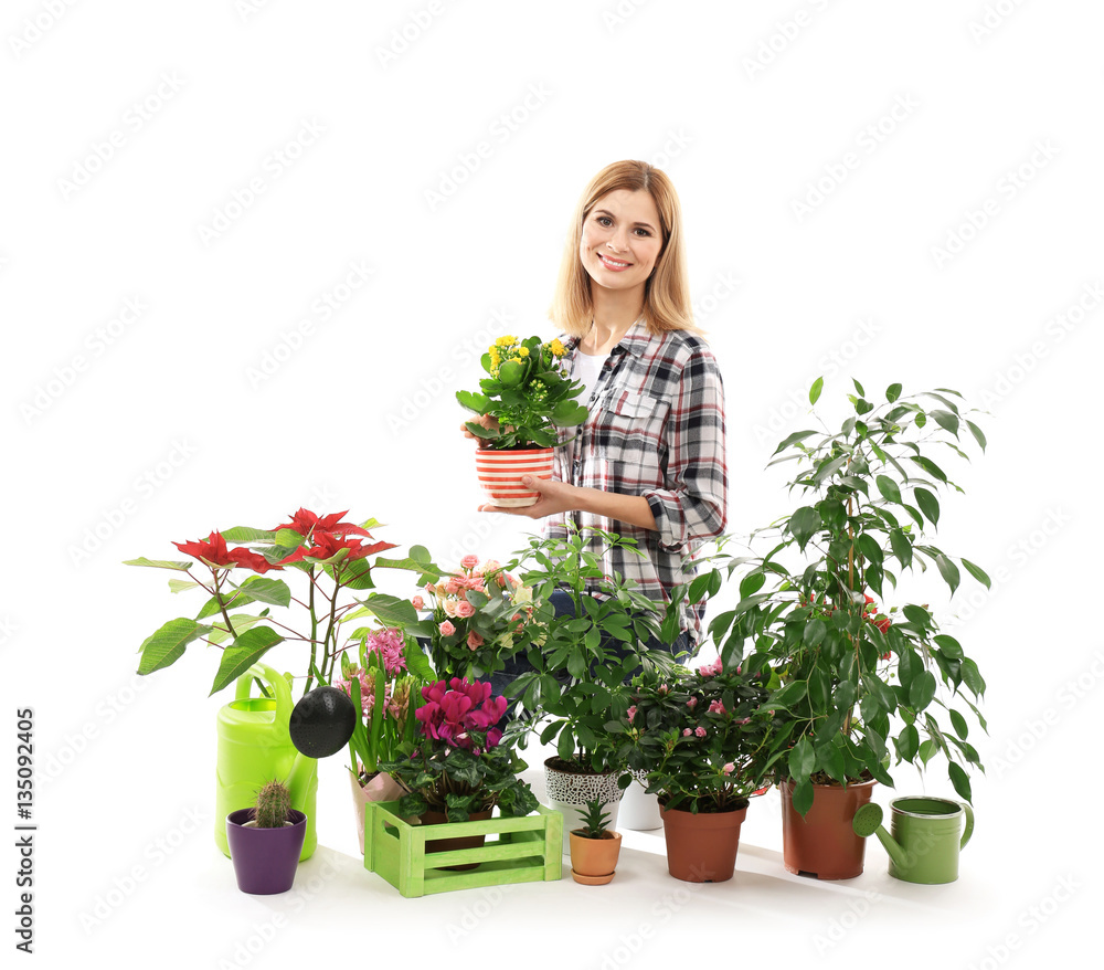 Female florist with beautiful house plants isolated on white background Female florist with beautiful house plants isolated on white background