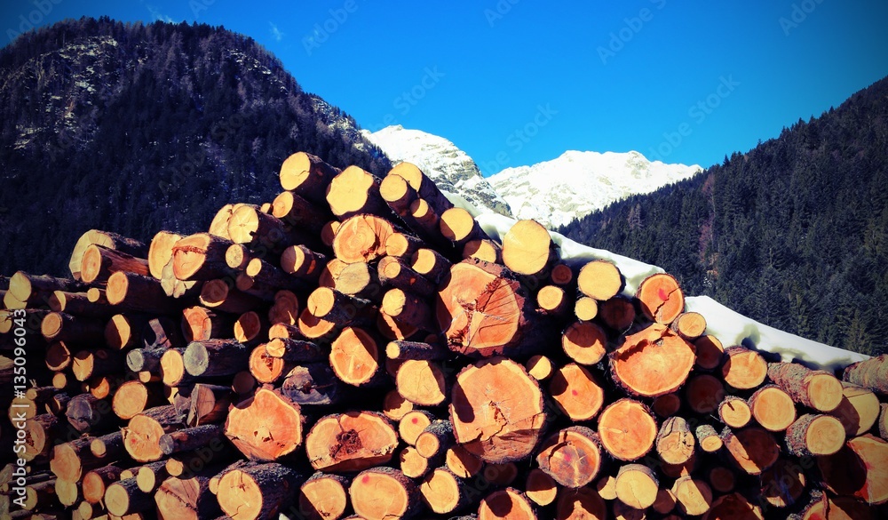 snowy mountain with the pile of cut logs with snow