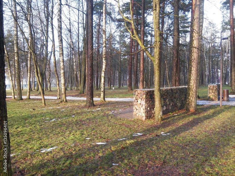 Obraz premium The path from Lithuania's park