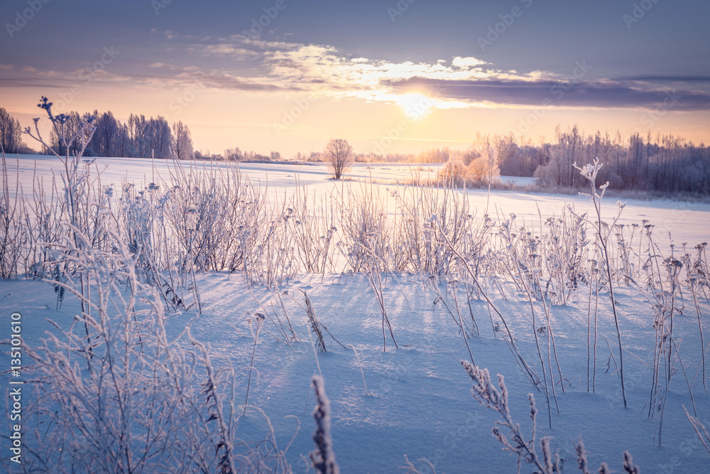 Beautiful winter landscape with rising sun in field covered with snow