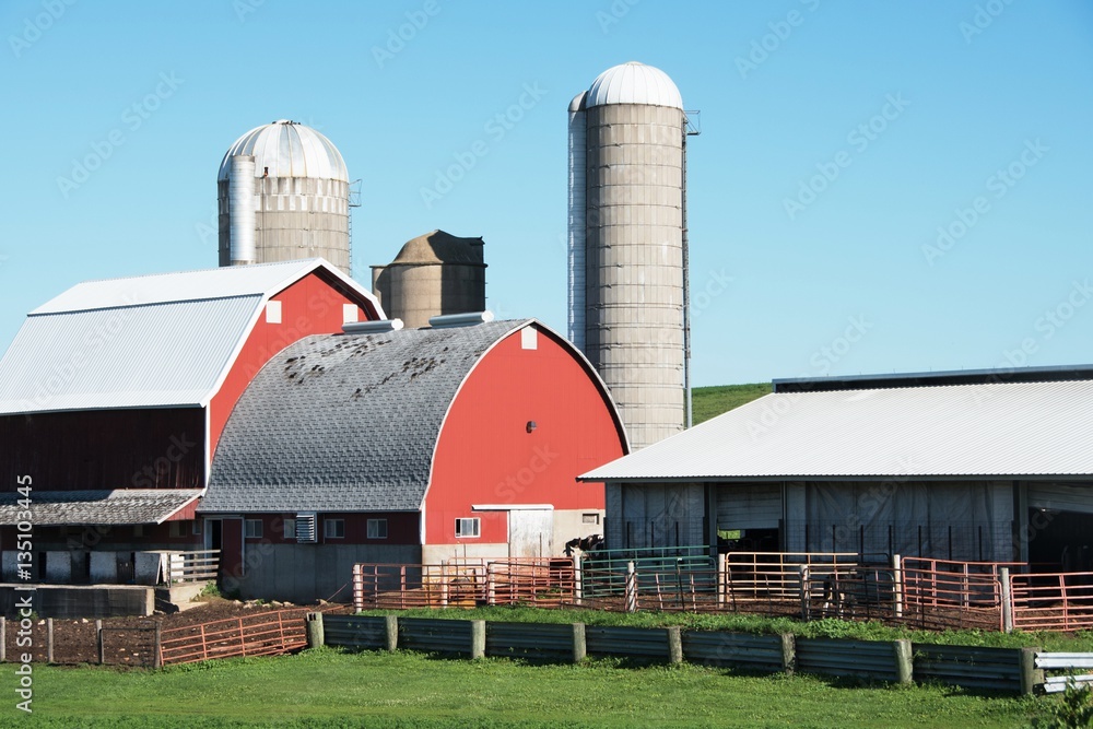 Dairy Farm Dairy Farm