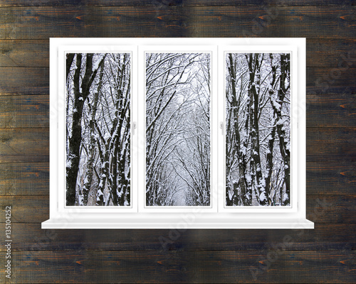 snow-clad crowns of trees in the window