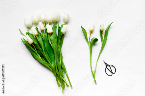 Top view of white tulips and  scissors