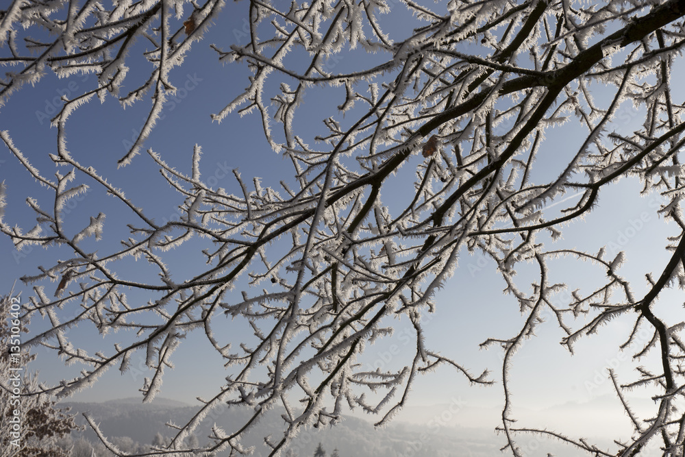Fairytale snowy winter countryside with blue Sky in Bohemia, Czech Republic Fairytale snowy winter countryside with blue Sky in Bohemia, Czech Republic