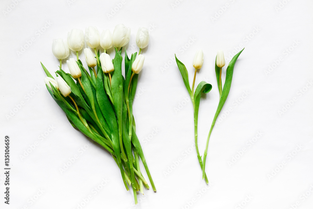 Top view of white tulips