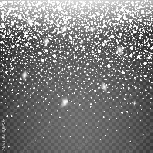 Snow vector effect isolated. Falling Snow winter cold weather. Christmas snowfall decoration background