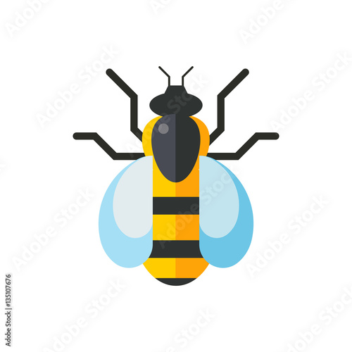 European western honey yellow bee vector. photo