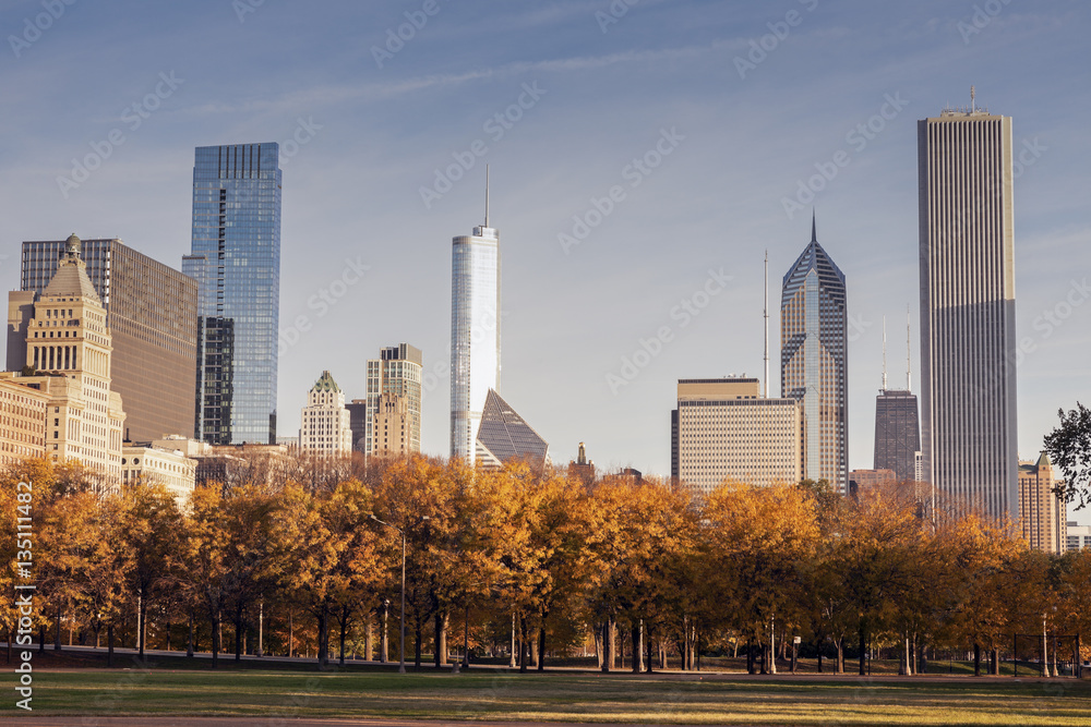 Fototapeta premium Autumn in Chicago