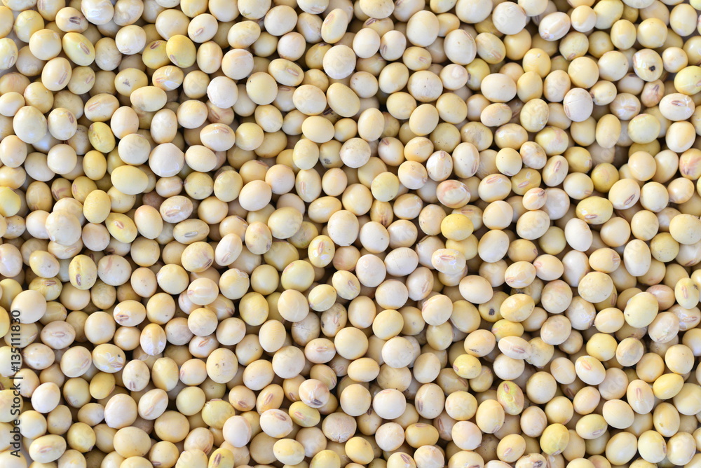 beans beans