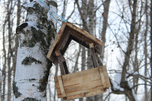 Wooden feeder on tree © marishayu