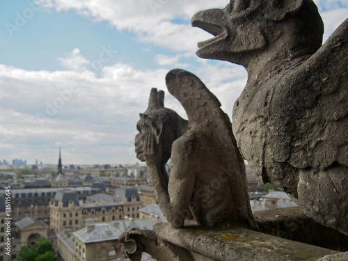 The gargoyles of Notre Dame overlooking the city of Paris France.