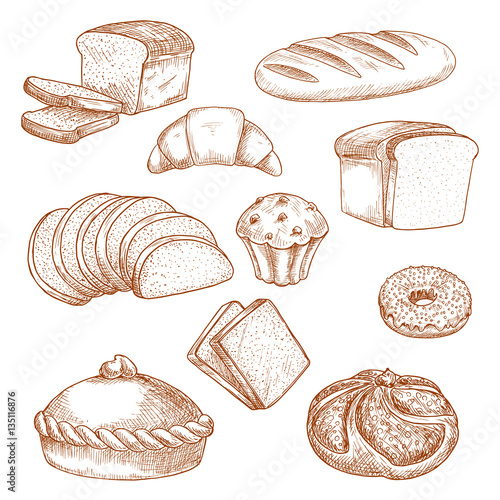 Pastry or bakery food and bread sketch