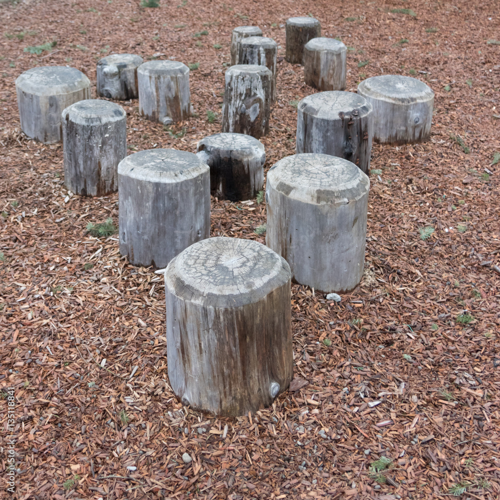 Stump steps in bark mulch at playground