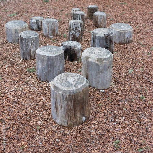 Stump steps in bark mulch at playground