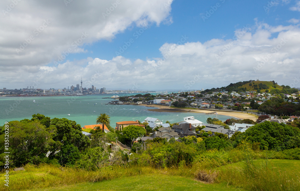 Fototapeta premium View to Auckland City and Mt Victoria Devonport from North Head