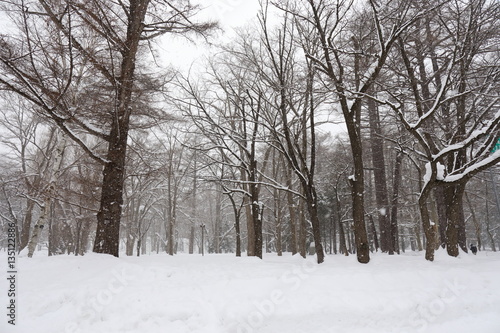 Winter scene of Hokkaido Japan © HIROSHI H